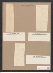 Pleurosigma hermanii Ralfs. (de-Toni-Nr.: Genus 13, Species 1011) Zeichnungen Sammlung Grunow Nr. 2061 (NHMW-BOT-W0368922)